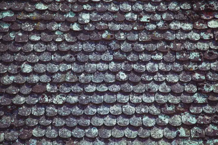 Residential Roofing